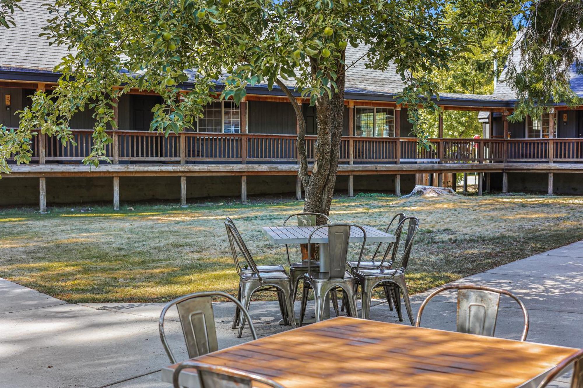 Shasta View Lodge McCloud 외부 사진